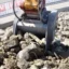En krosskopa tar ett skoptag med gamla betongrester efter rivning.