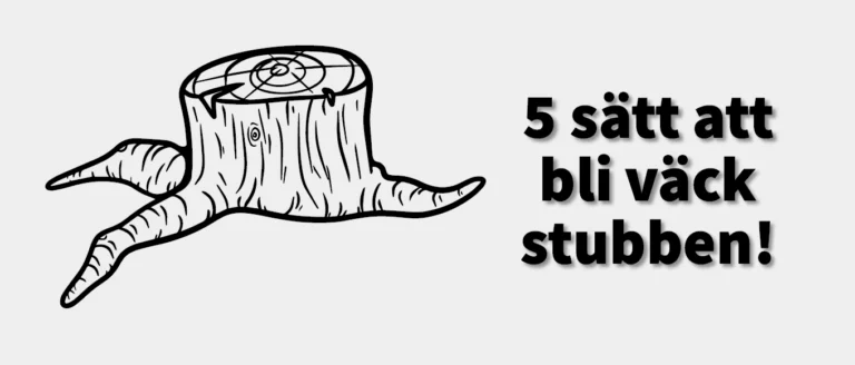 5 sätt att ta bort stubbar